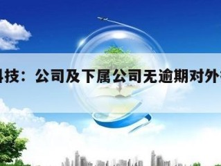 龙蟠科技：公司及下属公司无逾期对外担保的情况