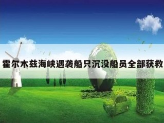 霍尔木兹海峡遇袭船只沉没船员全部获救