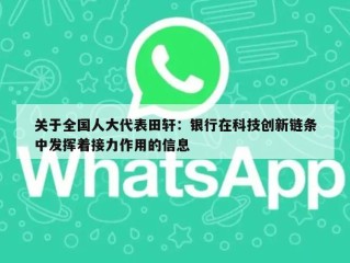关于全国人大代表田轩：银行在科技创新链条中发挥着接力作用的信息