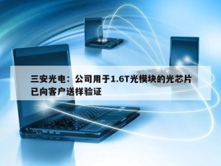 三安光电：公司用于1.6T光模块的光芯片已向客户送样验证