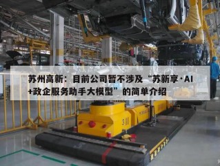 苏州高新：目前公司暂不涉及“苏新享·AI+政企服务助手大模型”的简单介绍